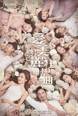 爱美丽狂想曲国语第20集