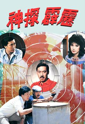 神探霹雳国语第6集