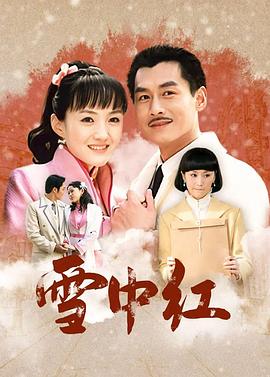 雪中红第09集