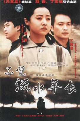 不觉流水年长第13集