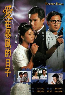 爱在暴风的日子国语第12集