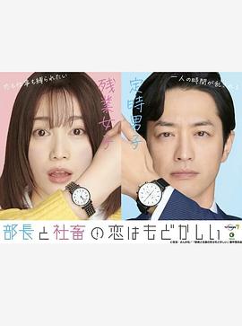 部长和社畜的恋情令人着急第02集