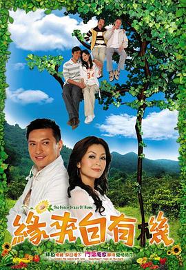 缘来自有机粤语第20集(大结局)