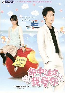命中注定我爱你2008第21集