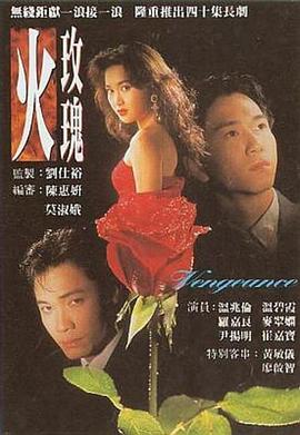 火玫瑰粤语第31集