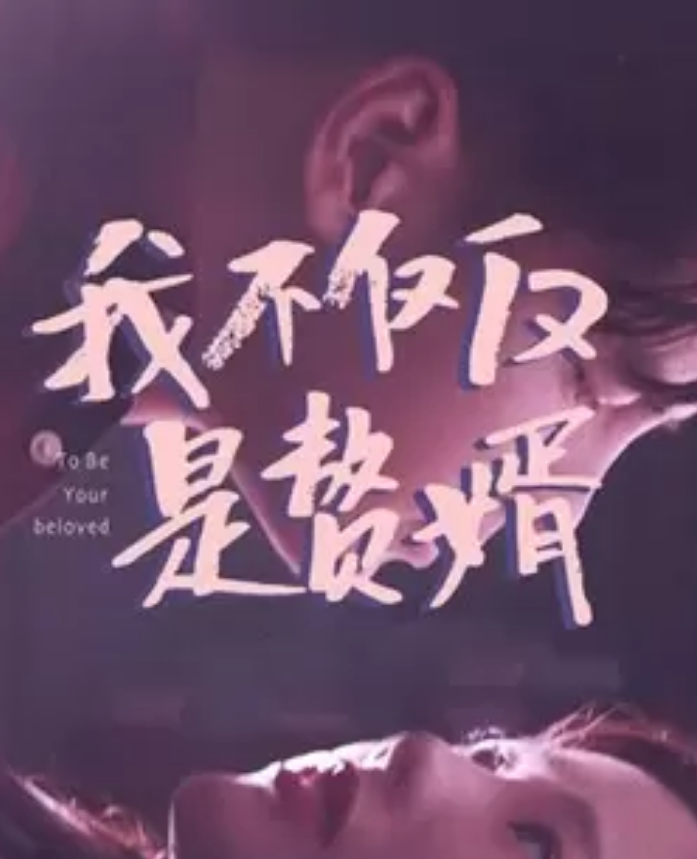 我不仅仅是赘婿第19集