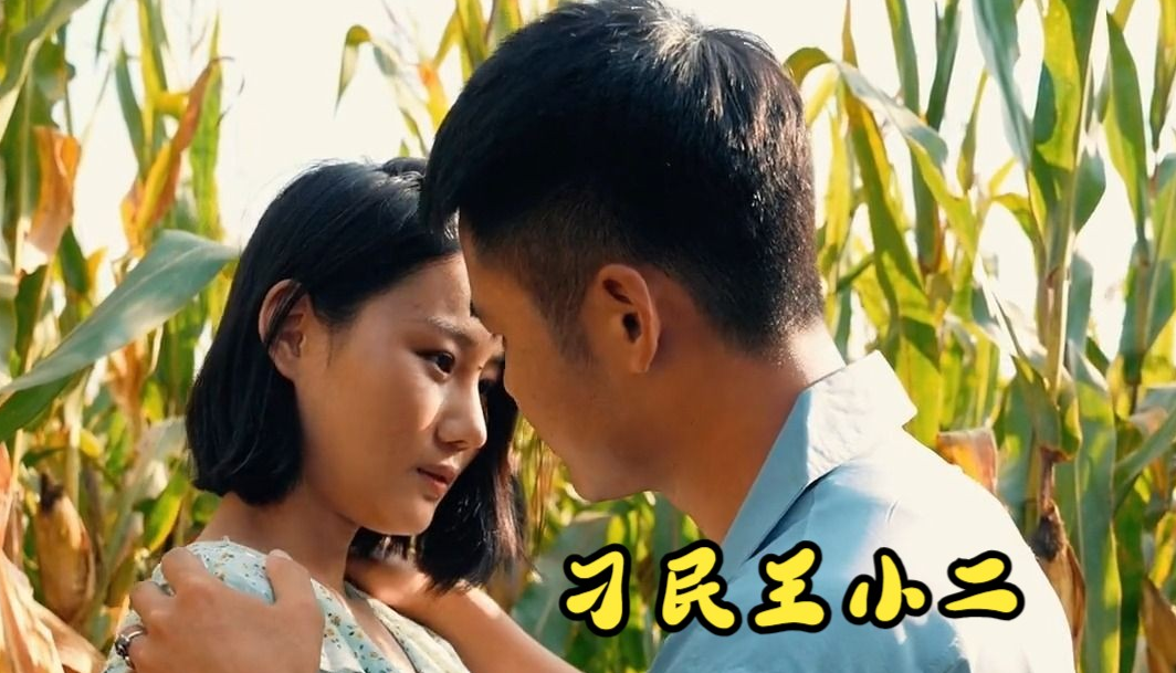 刁民王小二第50集(大结局)