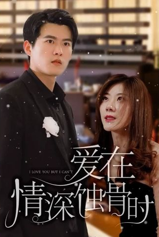 爱在情深蚀骨时第87集