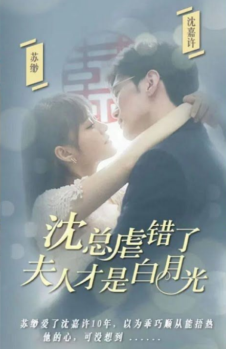沈总虐错了夫人才是白月光第17集