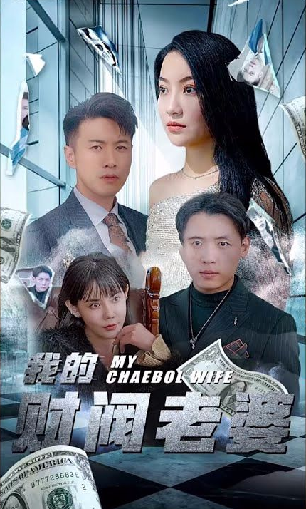 我的财阀老婆第38集