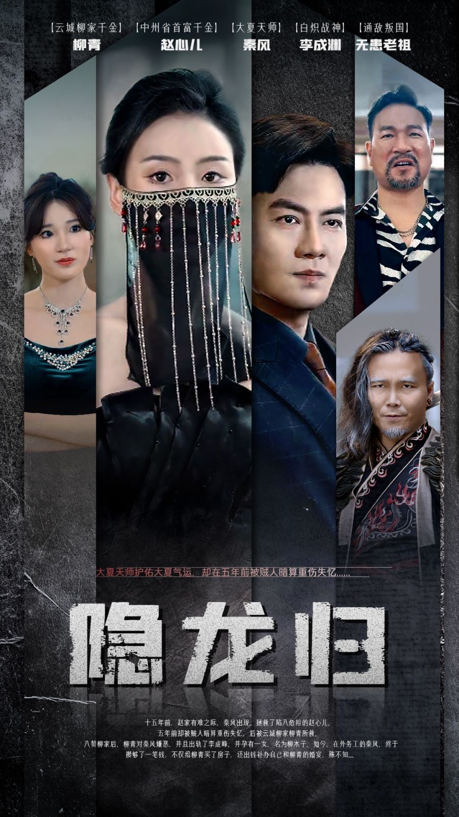 隐龙归第14集