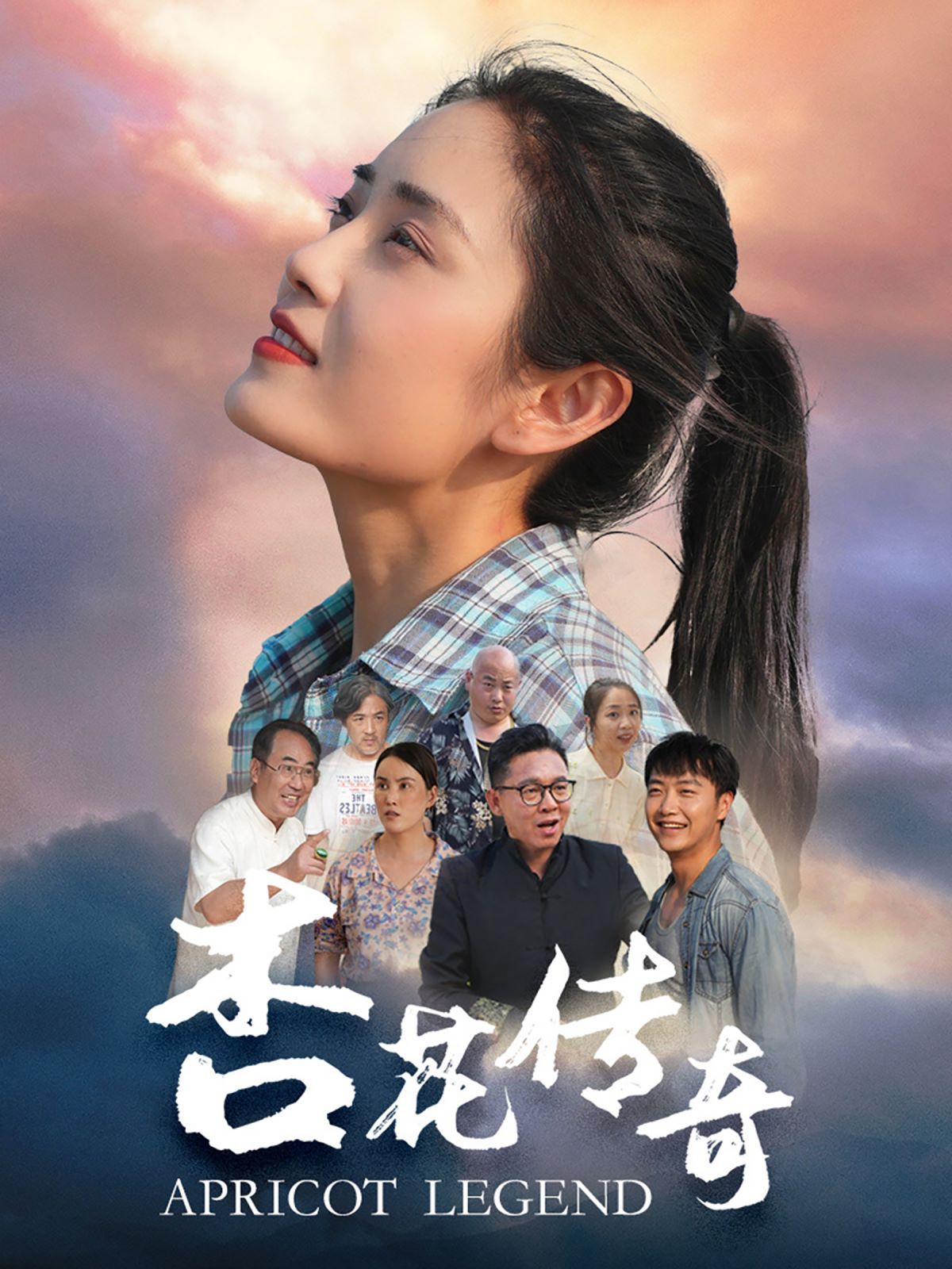 杏花传奇第28集