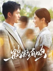 鹤鹤有鸣第49集