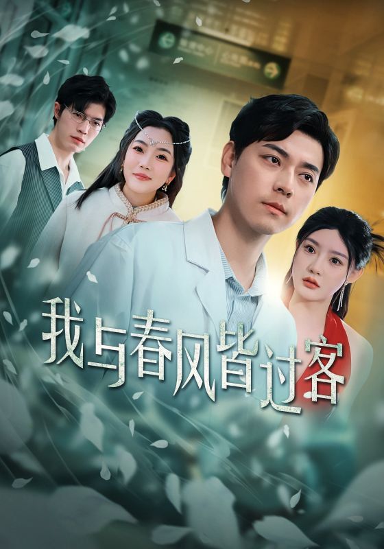 我与春风皆过客第13集