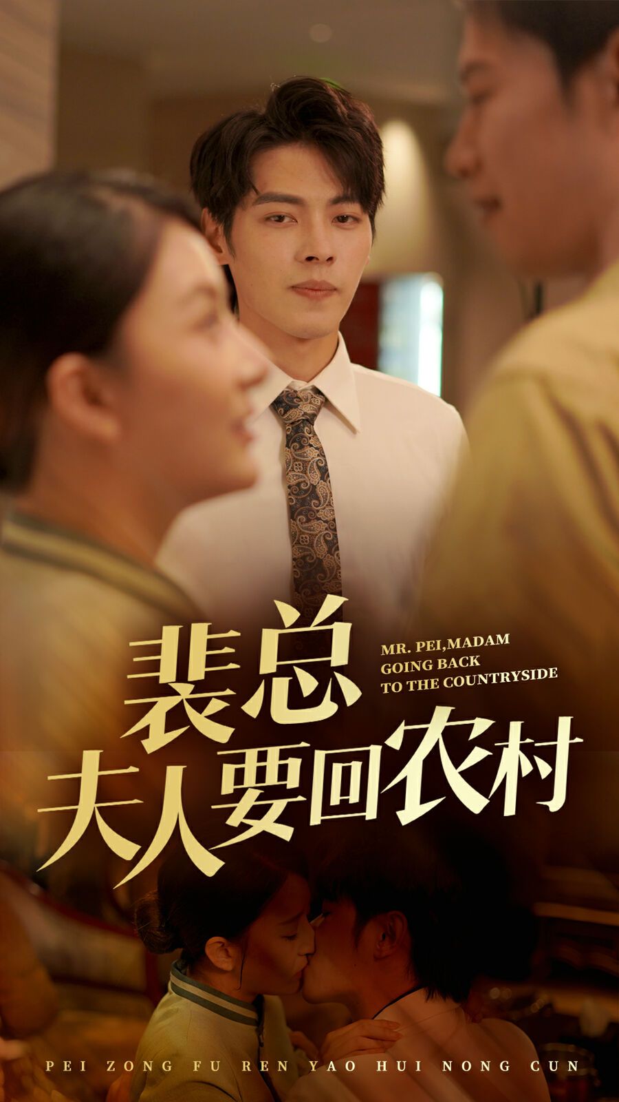 裴总夫人要回农村第21集