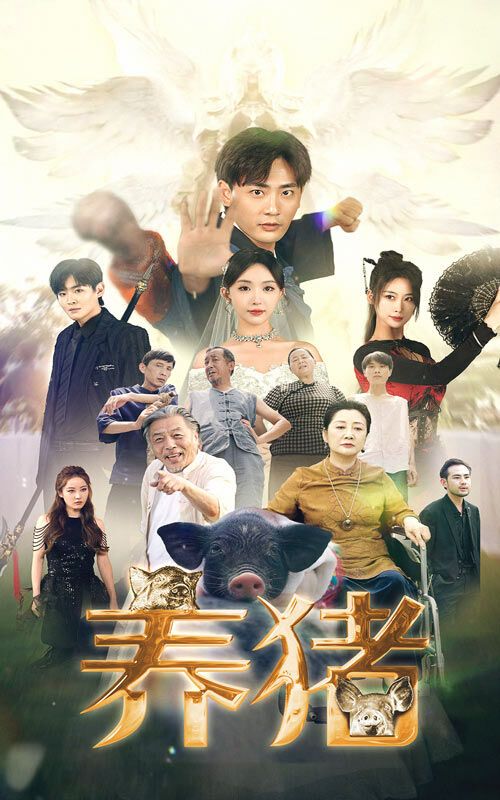 养猪第02集