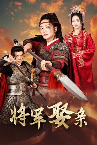 将军娶亲第28集