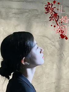 致幻婚姻第12集