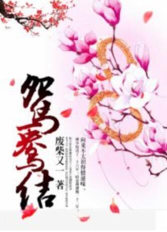鸳鸯结第17集