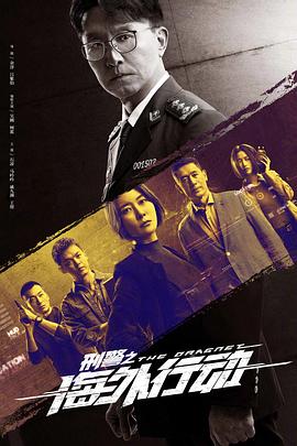 刑警之海外行动第23集