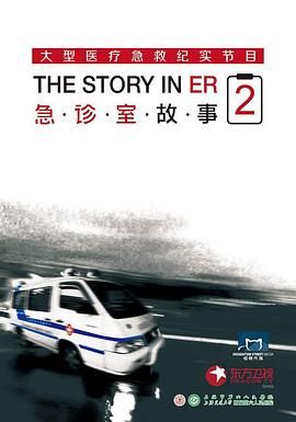 急诊室故事 第二季(全集)
