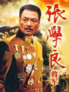 张学良将军第35集