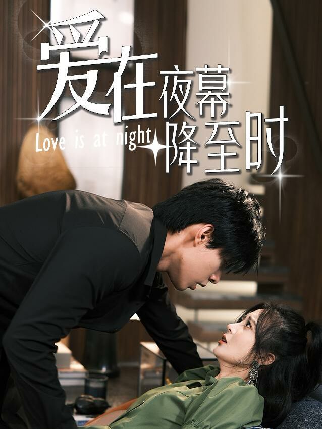 爱在夜幕降至时第02集