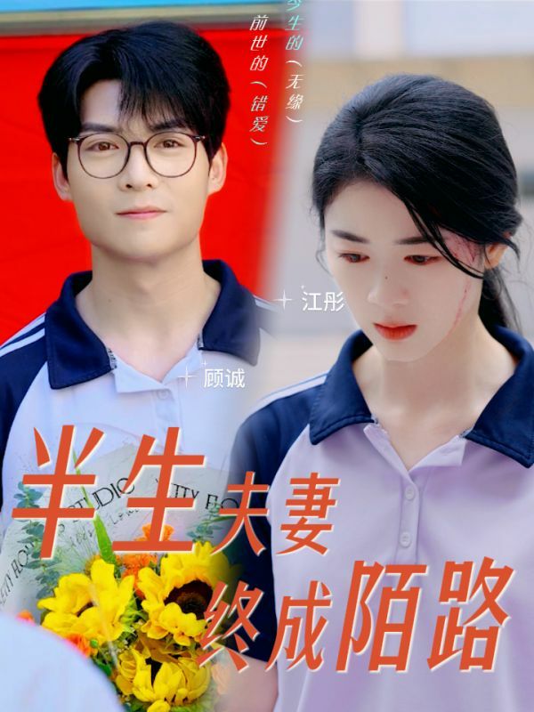 半生夫妻终成陌路第11集