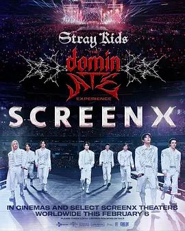 Stray Kids：主宰一切的体验(全集)