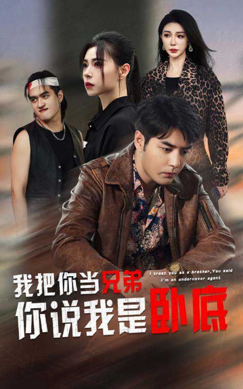 我把你当兄弟你说我是卧底第13集