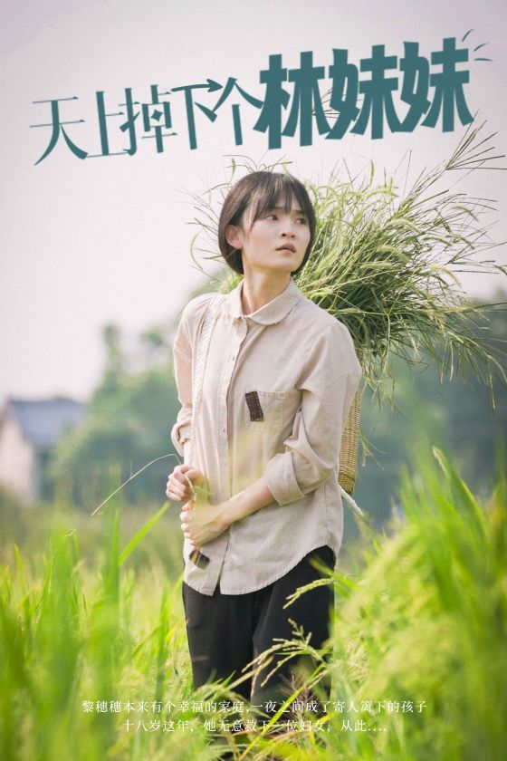 天上掉下个林妹妹第41-60集