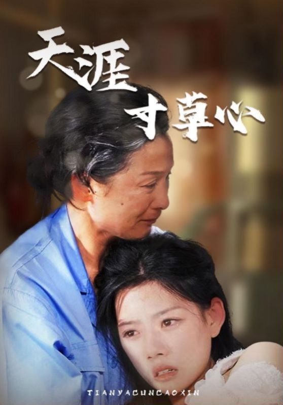 天涯寸草心第02集