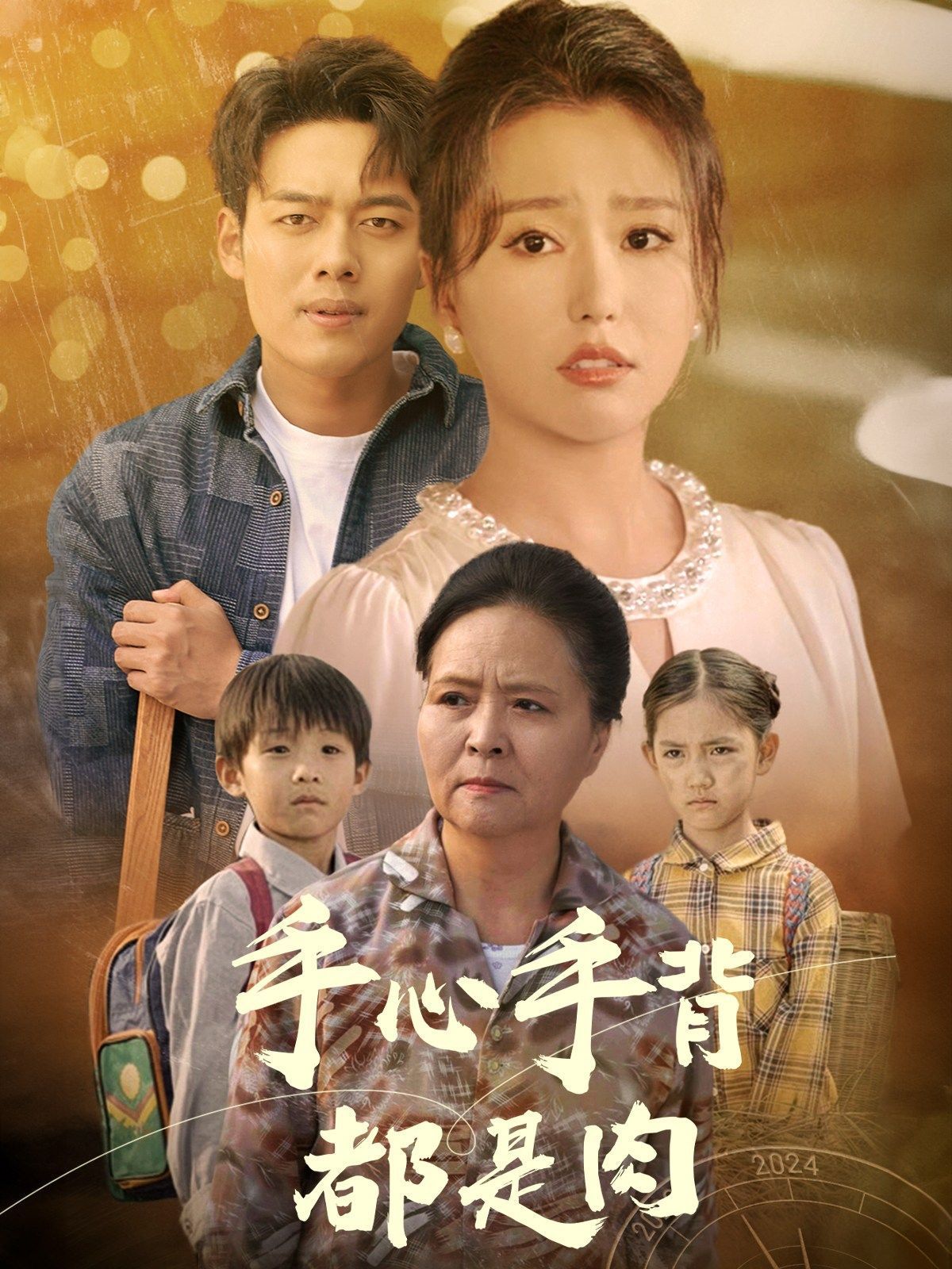 手心手背都是肉第15集